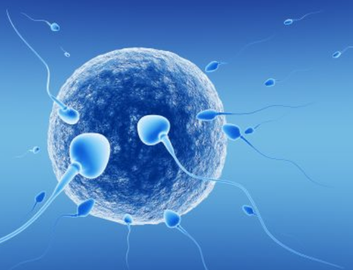 In-Vitro Fertilization (IVF): Procedure, Preparation & Risks